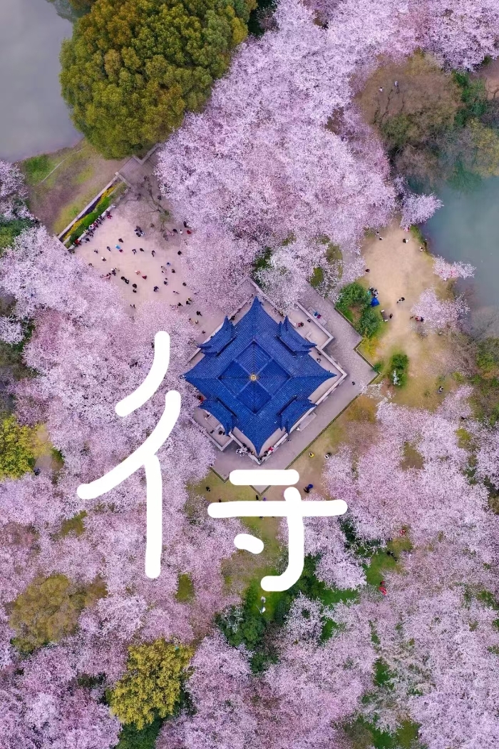 &#76;&#69;&#89;&#85;&#46;&#67;&#79;&#77;&#45;&#20048;&#40060;&#40;&#20013;&#22269;&#41;